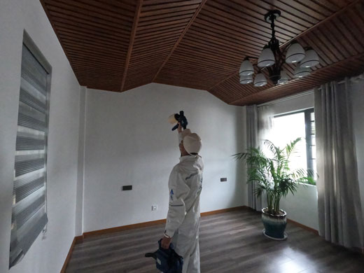 株洲别墅除甲醛