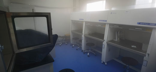 株洲学校除甲醛