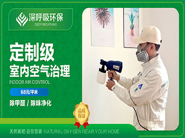 株洲欧标定制级除甲醛