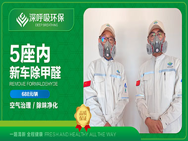 株洲新车除甲醛服务